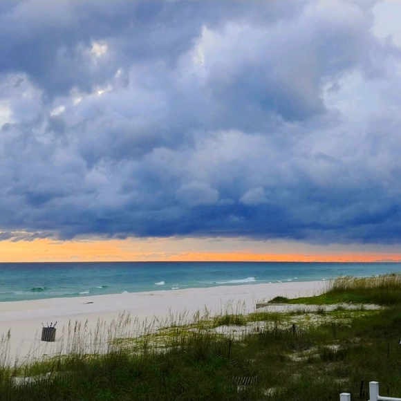 Meet your Posher, Kelly - Picture 1 of 4